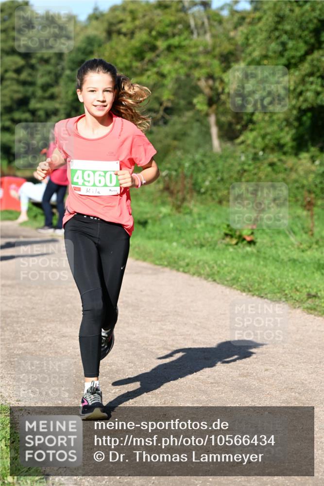 27.09.2026 - 35. Volkslauf durch das schöne Alstertal Dr. Thomas Lammeyer http://msf.ph/oto/10566434 27.09.2026 10:40:13 Laufen 4960 meine-sportfotos.de