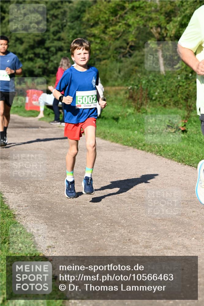 27.09.2026 - 35. Volkslauf durch das schöne Alstertal Dr. Thomas Lammeyer http://msf.ph/oto/10566463 27.09.2026 10:40:17 Laufen 5002 meine-sportfotos.de