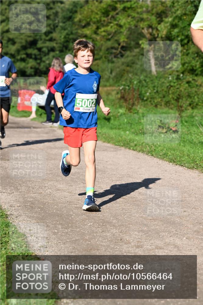 27.09.2026 - 35. Volkslauf durch das schöne Alstertal Dr. Thomas Lammeyer http://msf.ph/oto/10566464 27.09.2026 10:40:18 Laufen 5002 meine-sportfotos.de