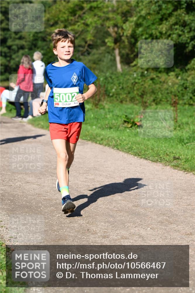 27.09.2026 - 35. Volkslauf durch das schöne Alstertal Dr. Thomas Lammeyer http://msf.ph/oto/10566467 27.09.2026 10:40:18 Laufen 5002 meine-sportfotos.de