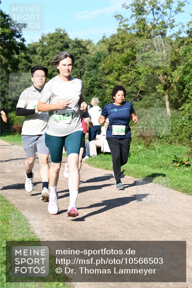 27.09.2026 - 35. Volkslauf durch das schöne Alstertal Dr. Thomas Lammeyer http://msf.ph/oto/10566503 27.09.2026 10:40:24 Laufen 4142, 4187 meine-sportfotos.de