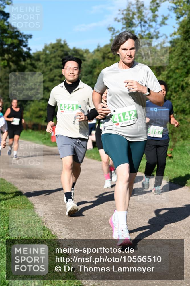 27.09.2026 - 35. Volkslauf durch das schöne Alstertal Dr. Thomas Lammeyer http://msf.ph/oto/10566510 27.09.2026 10:40:25 Laufen 4221, 4142, 4187 meine-sportfotos.de