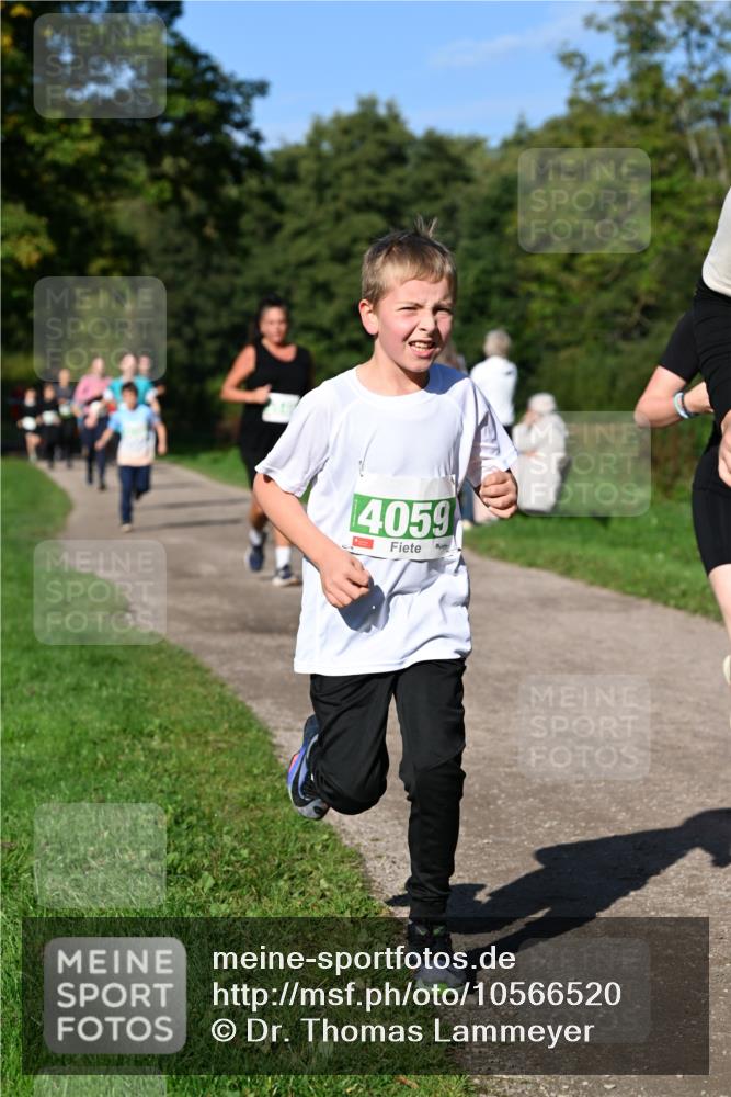 27.09.2026 - 35. Volkslauf durch das schöne Alstertal Dr. Thomas Lammeyer http://msf.ph/oto/10566520 27.09.2026 10:40:27 Laufen 4059 meine-sportfotos.de