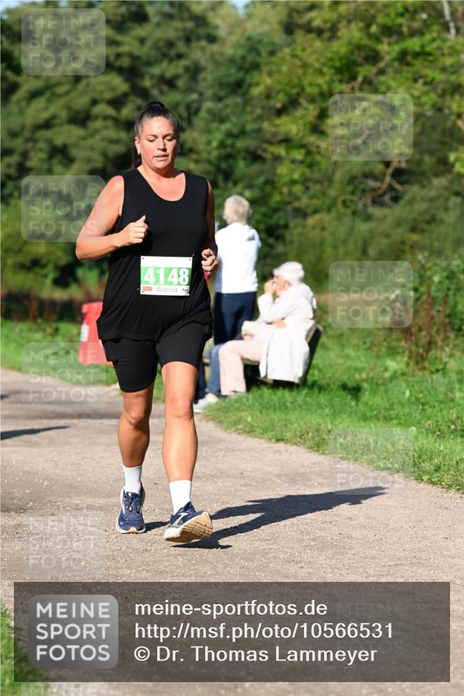 27.09.2026 - 35. Volkslauf durch das schöne Alstertal Dr. Thomas Lammeyer http://msf.ph/oto/10566531 27.09.2026 10:40:29 Laufen 4148 meine-sportfotos.de