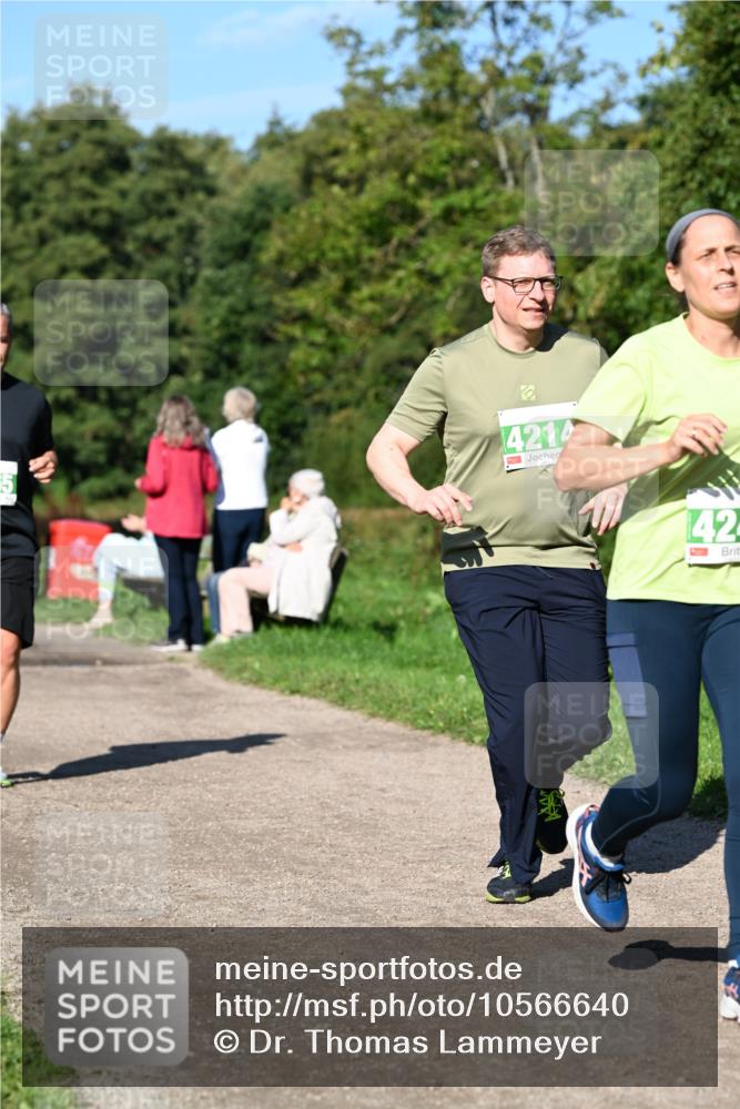 27.09.2026 - 35. Volkslauf durch das schöne Alstertal Dr. Thomas Lammeyer http://msf.ph/oto/10566640 27.09.2026 10:40:53 Laufen 4214, 142 meine-sportfotos.de