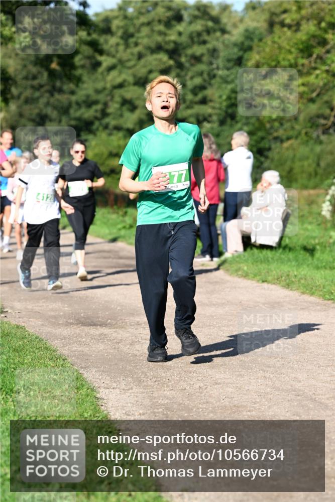 27.09.2026 - 35. Volkslauf durch das schöne Alstertal Dr. Thomas Lammeyer http://msf.ph/oto/10566734 27.09.2026 10:41:07 Laufen 412, 77 meine-sportfotos.de