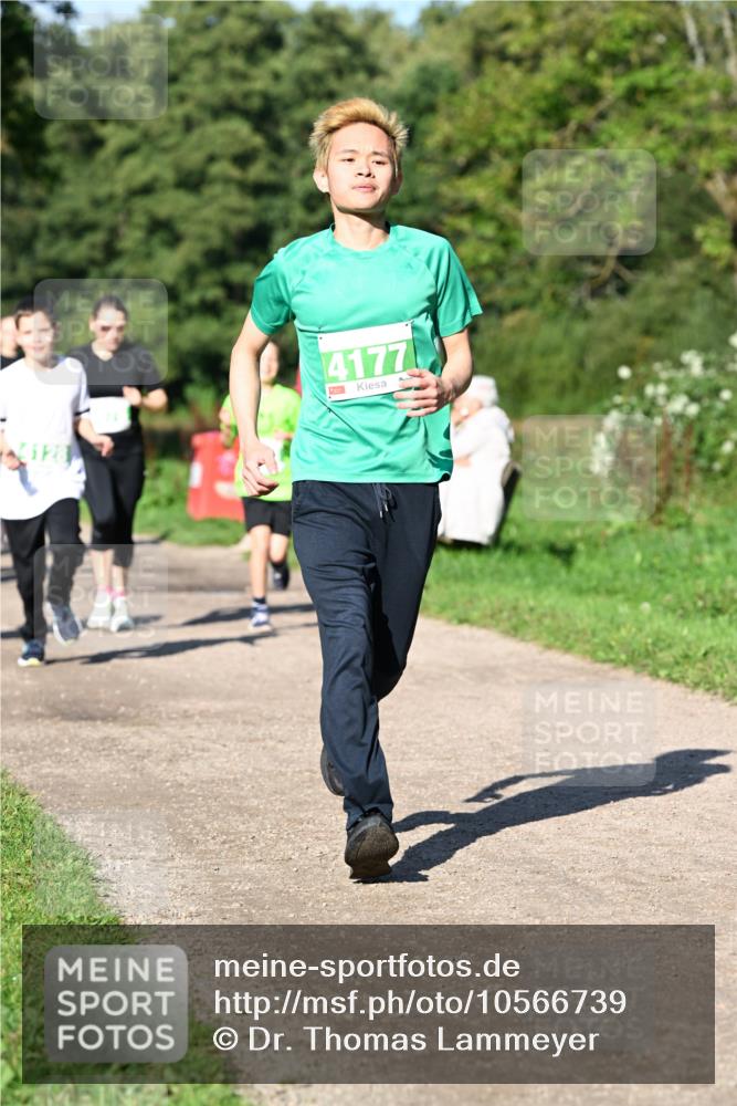 27.09.2026 - 35. Volkslauf durch das schöne Alstertal Dr. Thomas Lammeyer http://msf.ph/oto/10566739 27.09.2026 10:41:07 Laufen 4177 meine-sportfotos.de