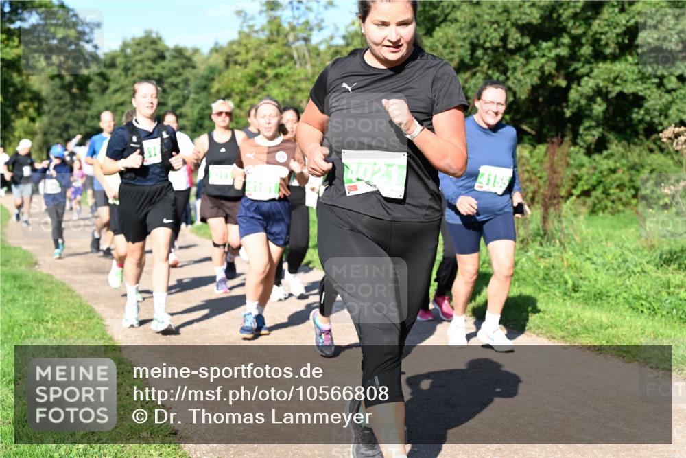 27.09.2026 - 35. Volkslauf durch das schöne Alstertal Dr. Thomas Lammeyer http://msf.ph/oto/10566808 27.09.2026 10:41:19 Laufen 15, 4155 meine-sportfotos.de