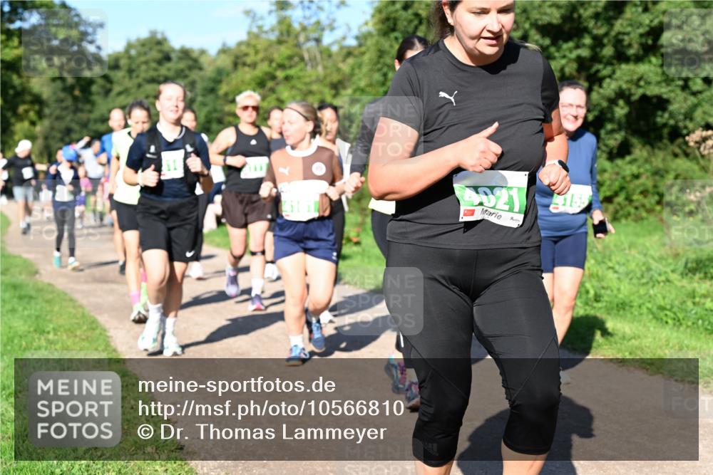 27.09.2026 - 35. Volkslauf durch das schöne Alstertal Dr. Thomas Lammeyer http://msf.ph/oto/10566810 27.09.2026 10:41:20 Laufen  meine-sportfotos.de