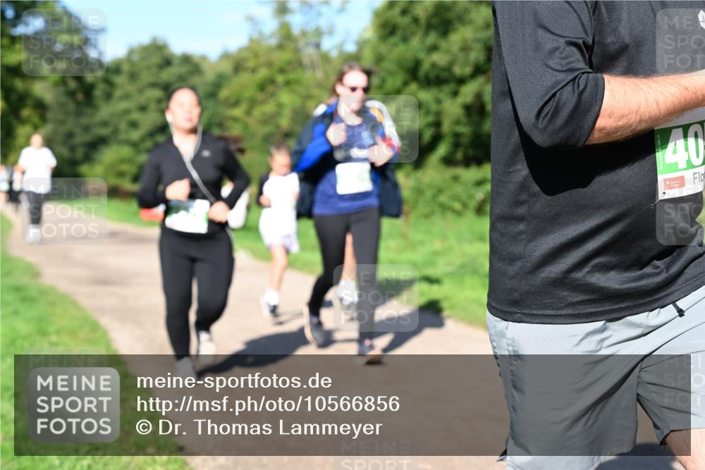 27.09.2026 - 35. Volkslauf durch das schöne Alstertal Dr. Thomas Lammeyer http://msf.ph/oto/10566856 27.09.2026 10:41:30 Laufen 40 meine-sportfotos.de