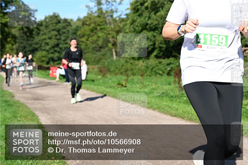 27.09.2026 - 35. Volkslauf durch das schöne Alstertal Dr. Thomas Lammeyer http://msf.ph/oto/10566908 27.09.2026 10:41:38 Laufen 4159 meine-sportfotos.de