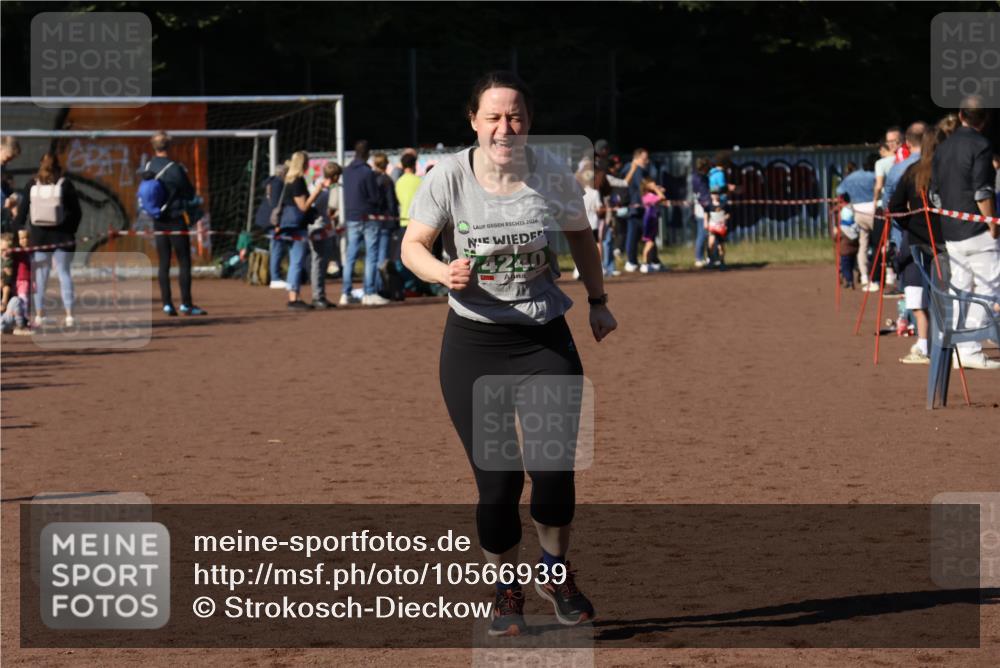 27.09.2026 - 35. Volkslauf durch das schöne Alstertal Strokosch-Dieckow http://msf.ph/oto/10566939 27.09.2026 11:02:38 Ziel 4240 meine-sportfotos.de