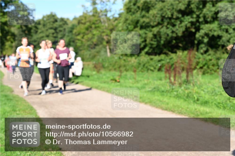 27.09.2026 - 35. Volkslauf durch das schöne Alstertal Dr. Thomas Lammeyer http://msf.ph/oto/10566982 27.09.2026 10:41:47 Laufen  meine-sportfotos.de
