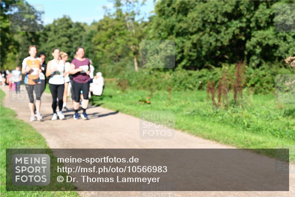 27.09.2026 - 35. Volkslauf durch das schöne Alstertal Dr. Thomas Lammeyer http://msf.ph/oto/10566983 27.09.2026 10:41:47 Laufen  meine-sportfotos.de