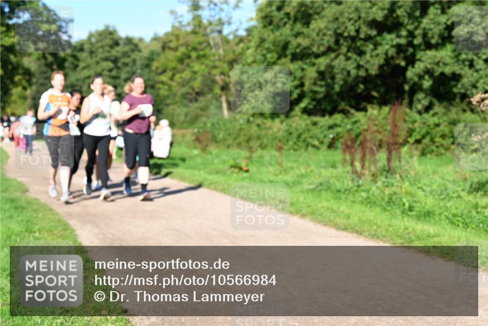 27.09.2026 - 35. Volkslauf durch das schöne Alstertal Dr. Thomas Lammeyer http://msf.ph/oto/10566984 27.09.2026 10:41:47 Laufen  meine-sportfotos.de