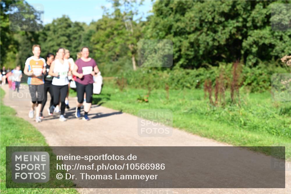 27.09.2026 - 35. Volkslauf durch das schöne Alstertal Dr. Thomas Lammeyer http://msf.ph/oto/10566986 27.09.2026 10:41:47 Laufen  meine-sportfotos.de