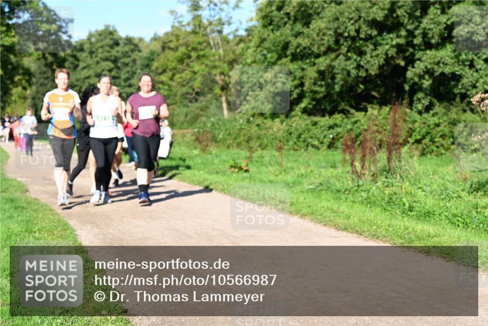 27.09.2026 - 35. Volkslauf durch das schöne Alstertal Dr. Thomas Lammeyer http://msf.ph/oto/10566987 27.09.2026 10:41:47 Laufen  meine-sportfotos.de