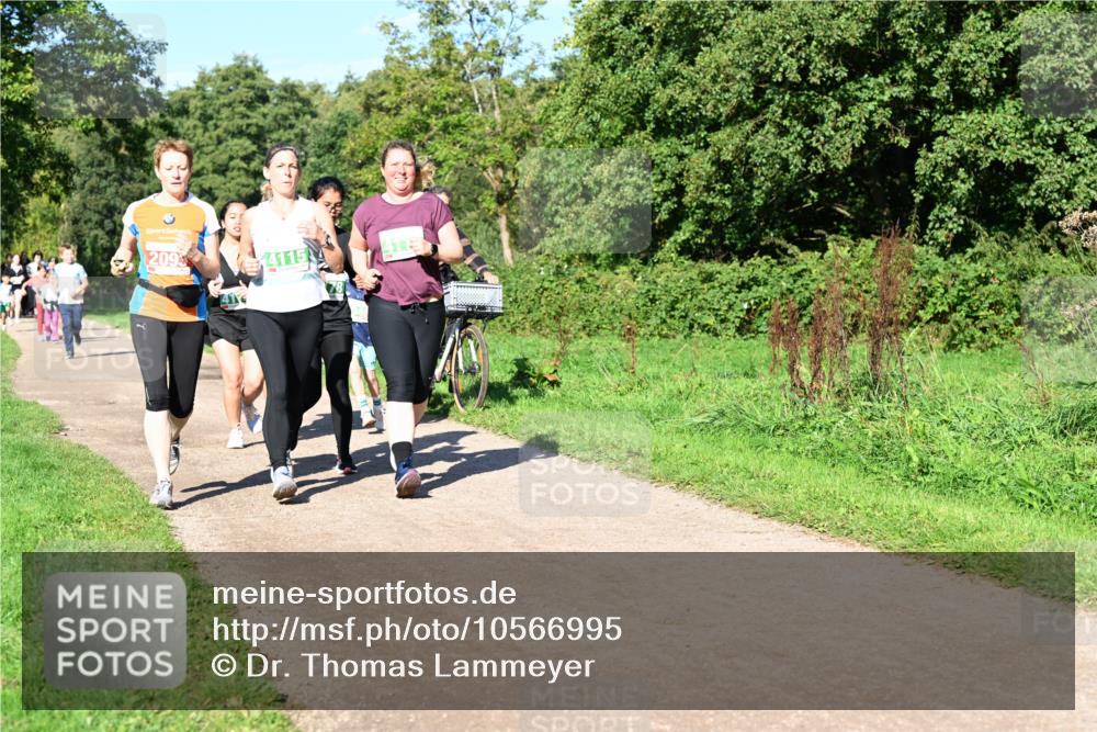 27.09.2026 - 35. Volkslauf durch das schöne Alstertal Dr. Thomas Lammeyer http://msf.ph/oto/10566995 27.09.2026 10:41:48 Laufen 209, 141154 meine-sportfotos.de