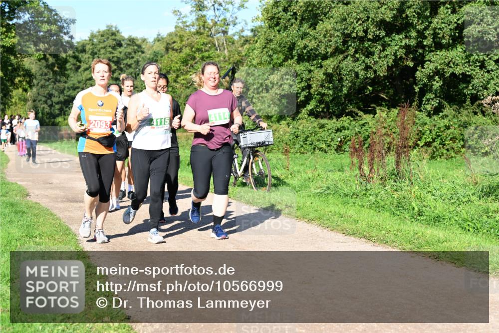 27.09.2026 - 35. Volkslauf durch das schöne Alstertal Dr. Thomas Lammeyer http://msf.ph/oto/10566999 27.09.2026 10:41:48 Laufen 3, 2093, 4115, 4114 meine-sportfotos.de