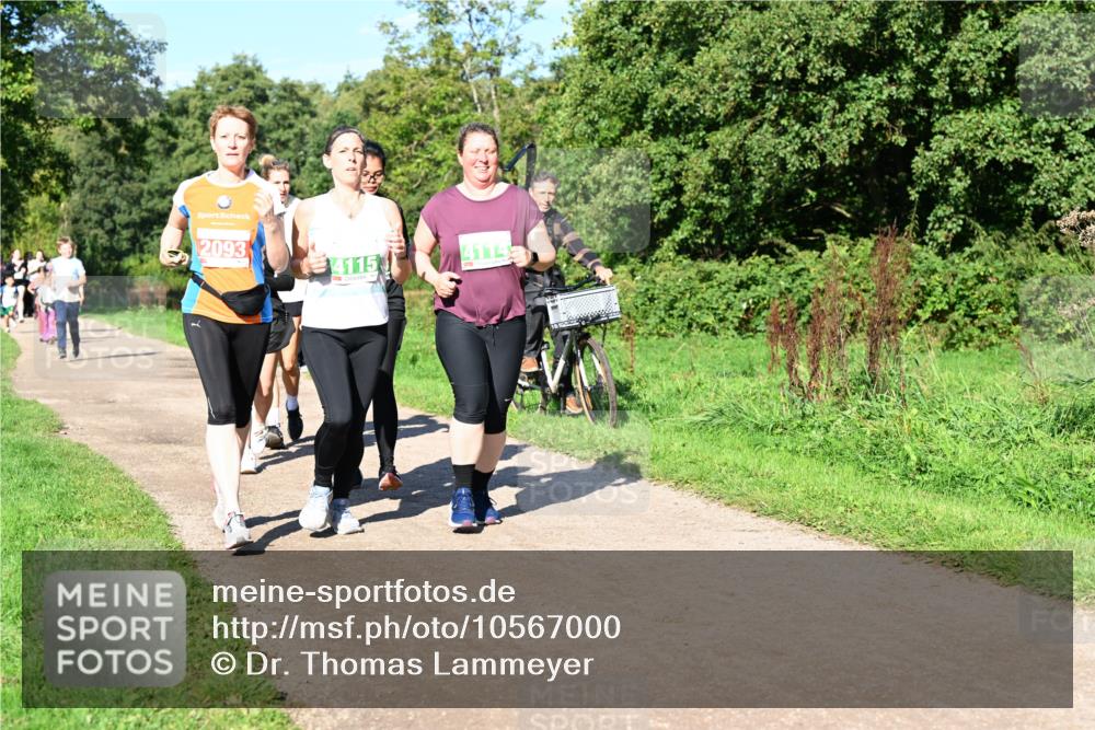 27.09.2026 - 35. Volkslauf durch das schöne Alstertal Dr. Thomas Lammeyer http://msf.ph/oto/10567000 27.09.2026 10:41:49 Laufen 2093, 4114, 4115 meine-sportfotos.de