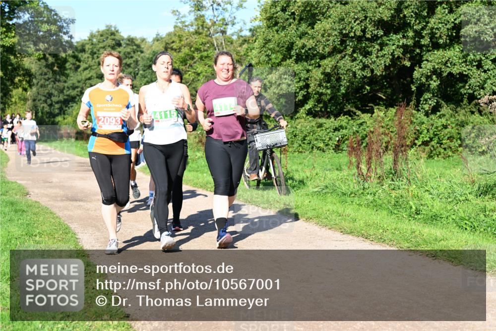 27.09.2026 - 35. Volkslauf durch das schöne Alstertal Dr. Thomas Lammeyer http://msf.ph/oto/10567001 27.09.2026 10:41:49 Laufen 2093, 4115, 4114 meine-sportfotos.de