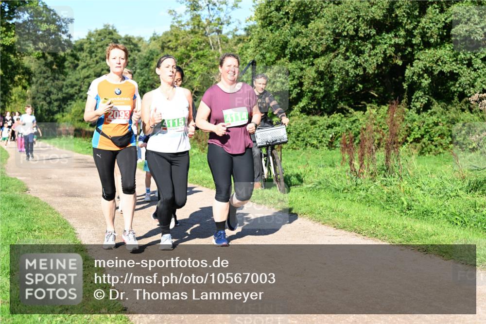 27.09.2026 - 35. Volkslauf durch das schöne Alstertal Dr. Thomas Lammeyer http://msf.ph/oto/10567003 27.09.2026 10:41:49 Laufen 2093, 4115, 4114 meine-sportfotos.de