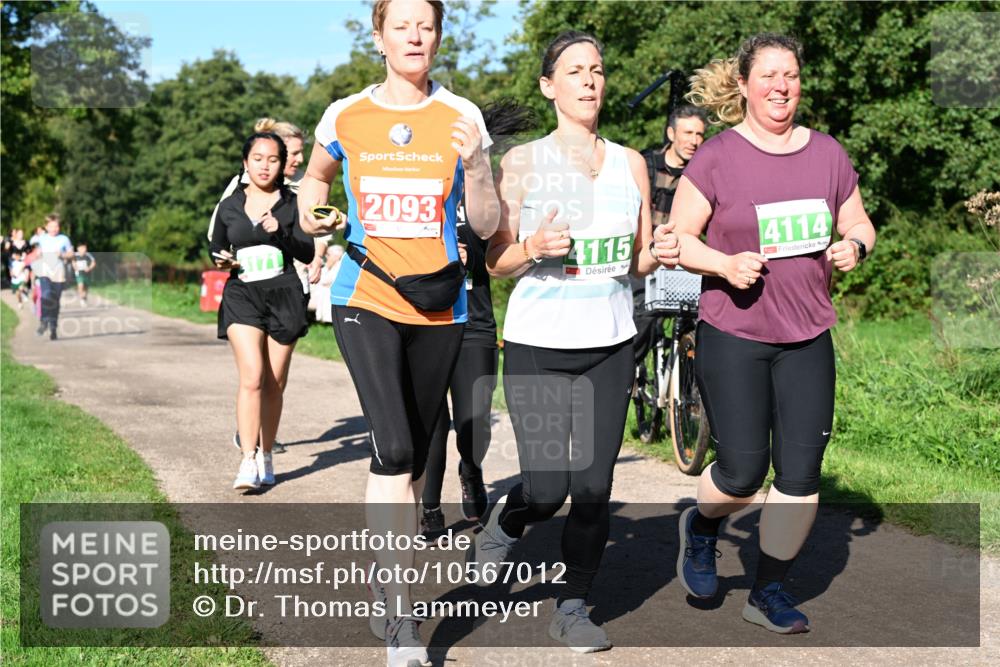 27.09.2026 - 35. Volkslauf durch das schöne Alstertal Dr. Thomas Lammeyer http://msf.ph/oto/10567012 27.09.2026 10:41:50 Laufen 2093, 4115, 4114 meine-sportfotos.de