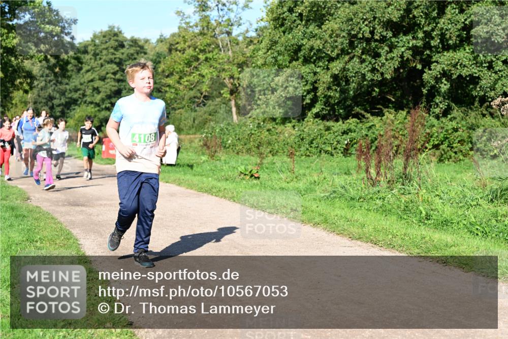 27.09.2026 - 35. Volkslauf durch das schöne Alstertal Dr. Thomas Lammeyer http://msf.ph/oto/10567053 27.09.2026 10:41:57 Laufen 4108 meine-sportfotos.de