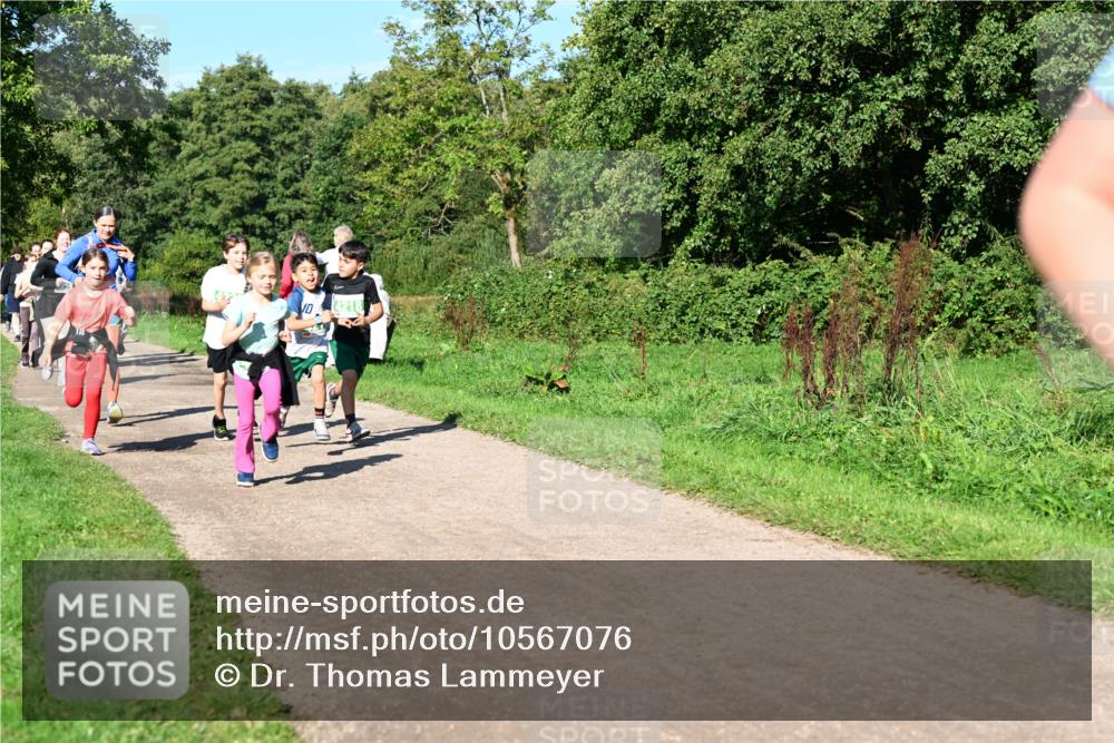 27.09.2026 - 35. Volkslauf durch das schöne Alstertal Dr. Thomas Lammeyer http://msf.ph/oto/10567076 27.09.2026 10:42:00 Laufen 4218 meine-sportfotos.de