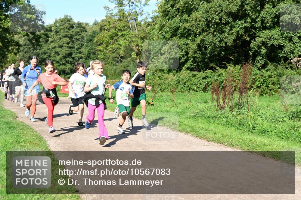 27.09.2026 - 35. Volkslauf durch das schöne Alstertal Dr. Thomas Lammeyer http://msf.ph/oto/10567083 27.09.2026 10:42:00 Laufen 4226 meine-sportfotos.de