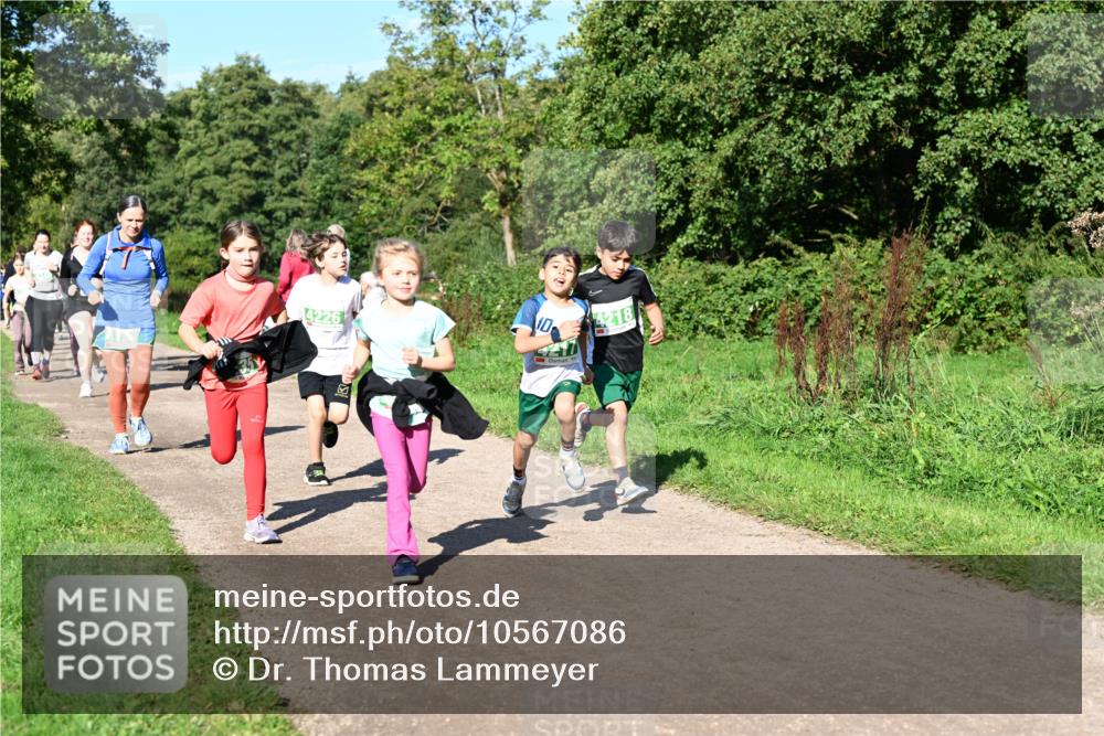 27.09.2026 - 35. Volkslauf durch das schöne Alstertal Dr. Thomas Lammeyer http://msf.ph/oto/10567086 27.09.2026 10:42:01 Laufen 4226, 4218 meine-sportfotos.de