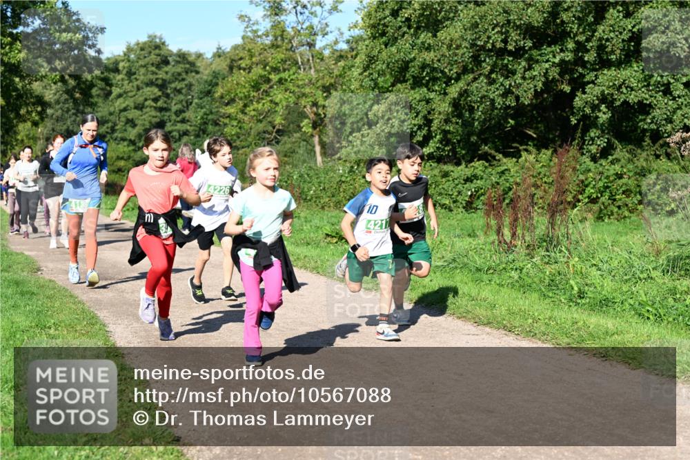 27.09.2026 - 35. Volkslauf durch das schöne Alstertal Dr. Thomas Lammeyer http://msf.ph/oto/10567088 27.09.2026 10:42:01 Laufen 4226, 10, 421 meine-sportfotos.de