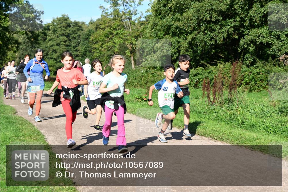 27.09.2026 - 35. Volkslauf durch das schöne Alstertal Dr. Thomas Lammeyer http://msf.ph/oto/10567089 27.09.2026 10:42:01 Laufen 4226, 10, 421 meine-sportfotos.de