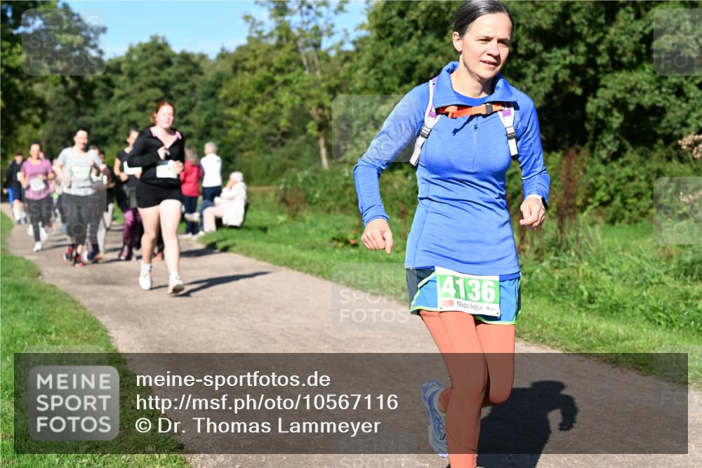 27.09.2026 - 35. Volkslauf durch das schöne Alstertal Dr. Thomas Lammeyer http://msf.ph/oto/10567116 27.09.2026 10:42:04 Laufen 4136 meine-sportfotos.de