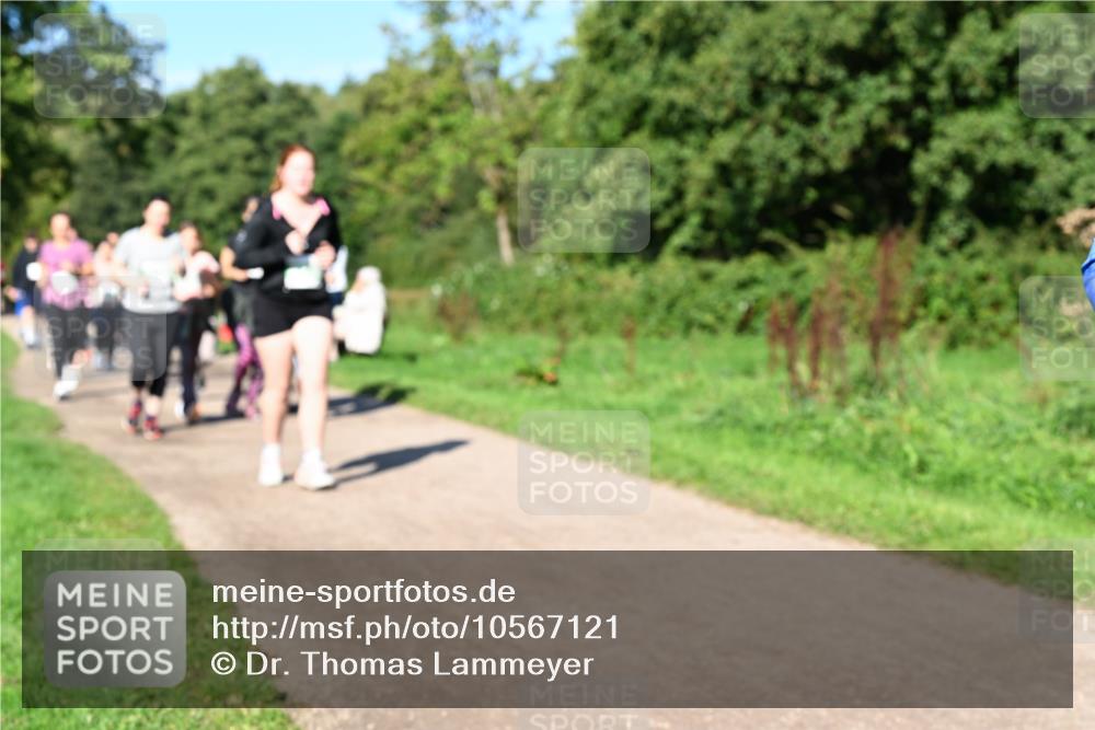 27.09.2026 - 35. Volkslauf durch das schöne Alstertal Dr. Thomas Lammeyer http://msf.ph/oto/10567121 27.09.2026 10:42:05 Laufen  meine-sportfotos.de