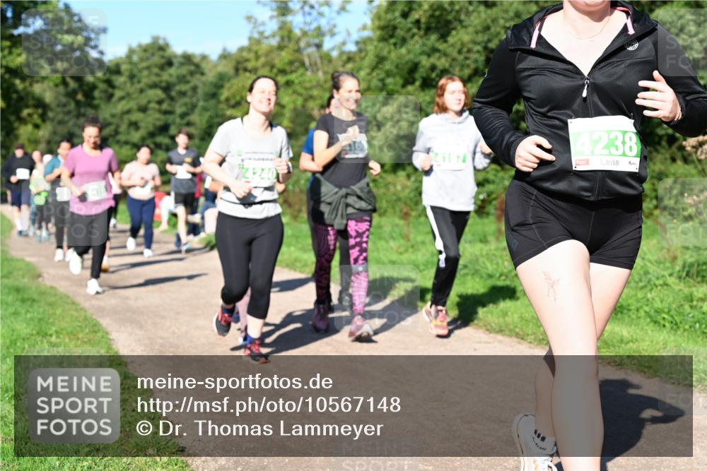 27.09.2026 - 35. Volkslauf durch das schöne Alstertal Dr. Thomas Lammeyer http://msf.ph/oto/10567148 27.09.2026 10:42:08 Laufen  meine-sportfotos.de