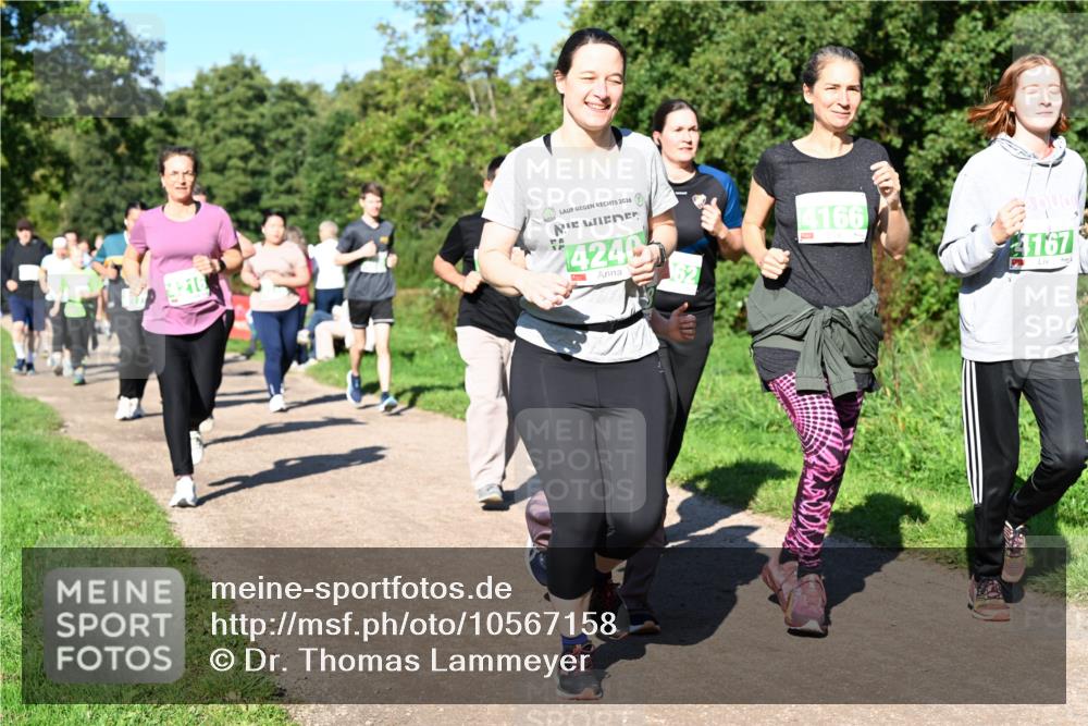 27.09.2026 - 35. Volkslauf durch das schöne Alstertal Dr. Thomas Lammeyer http://msf.ph/oto/10567158 27.09.2026 10:42:09 Laufen 2026, 4240, 4166, 4167 meine-sportfotos.de