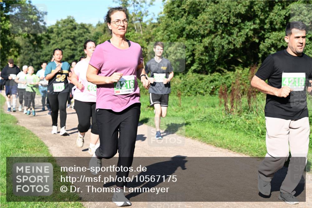 27.09.2026 - 35. Volkslauf durch das schöne Alstertal Dr. Thomas Lammeyer http://msf.ph/oto/10567175 27.09.2026 10:42:11 Laufen 404, 4216, 4219 meine-sportfotos.de
