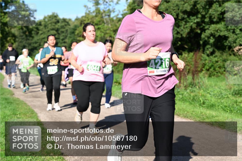27.09.2026 - 35. Volkslauf durch das schöne Alstertal Dr. Thomas Lammeyer http://msf.ph/oto/10567180 27.09.2026 10:42:11 Laufen 4044, 4216 meine-sportfotos.de