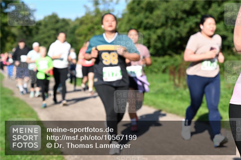 27.09.2026 - 35. Volkslauf durch das schöne Alstertal Dr. Thomas Lammeyer http://msf.ph/oto/10567199 27.09.2026 10:42:14 Laufen 86 meine-sportfotos.de