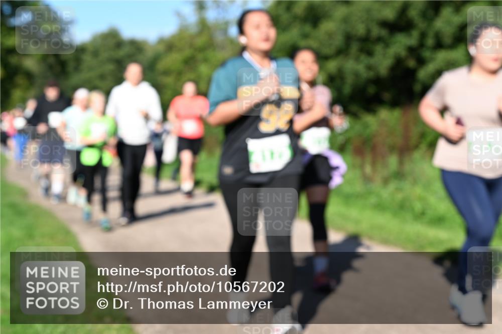 27.09.2026 - 35. Volkslauf durch das schöne Alstertal Dr. Thomas Lammeyer http://msf.ph/oto/10567202 27.09.2026 10:42:14 Laufen  meine-sportfotos.de