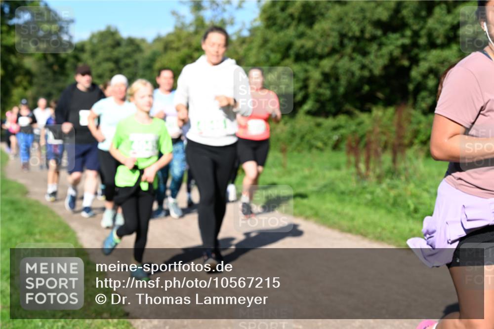 27.09.2026 - 35. Volkslauf durch das schöne Alstertal Dr. Thomas Lammeyer http://msf.ph/oto/10567215 27.09.2026 10:42:15 Laufen  meine-sportfotos.de