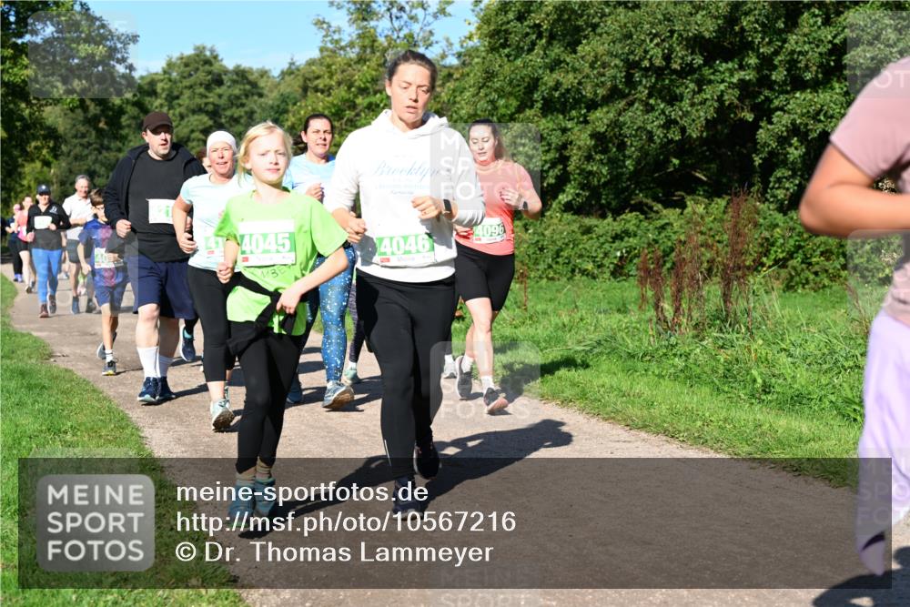 27.09.2026 - 35. Volkslauf durch das schöne Alstertal Dr. Thomas Lammeyer http://msf.ph/oto/10567216 27.09.2026 10:42:15 Laufen 41, 4045, 4046, 4096 meine-sportfotos.de