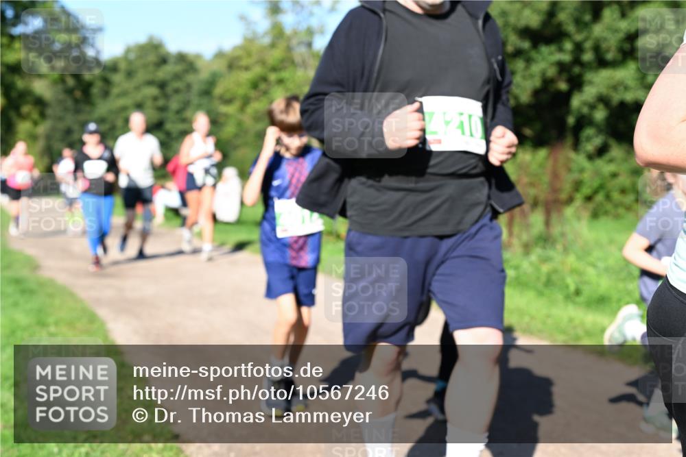 27.09.2026 - 35. Volkslauf durch das schöne Alstertal Dr. Thomas Lammeyer http://msf.ph/oto/10567246 27.09.2026 10:42:19 Laufen  meine-sportfotos.de