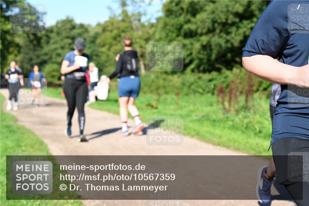 27.09.2026 - 35. Volkslauf durch das schöne Alstertal Dr. Thomas Lammeyer http://msf.ph/oto/10567359 27.09.2026 10:42:32 Laufen  meine-sportfotos.de