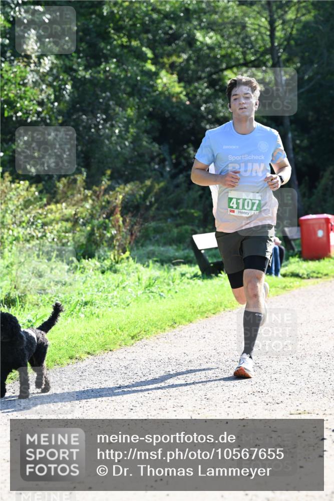 27.09.2026 - 35. Volkslauf durch das schöne Alstertal Dr. Thomas Lammeyer http://msf.ph/oto/10567655 27.09.2026 10:47:01 Laufen 4107 meine-sportfotos.de