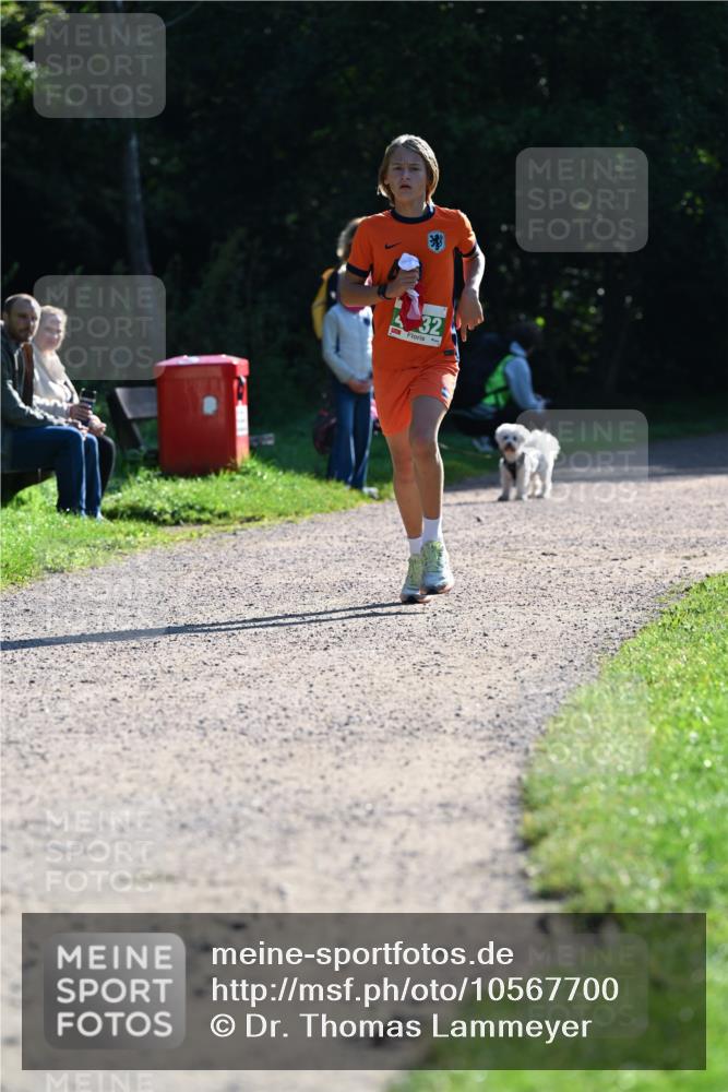 27.09.2026 - 35. Volkslauf durch das schöne Alstertal Dr. Thomas Lammeyer http://msf.ph/oto/10567700 27.09.2026 10:47:43 Laufen 32 meine-sportfotos.de