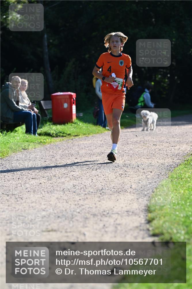 27.09.2026 - 35. Volkslauf durch das schöne Alstertal Dr. Thomas Lammeyer http://msf.ph/oto/10567701 27.09.2026 10:47:43 Laufen  meine-sportfotos.de
