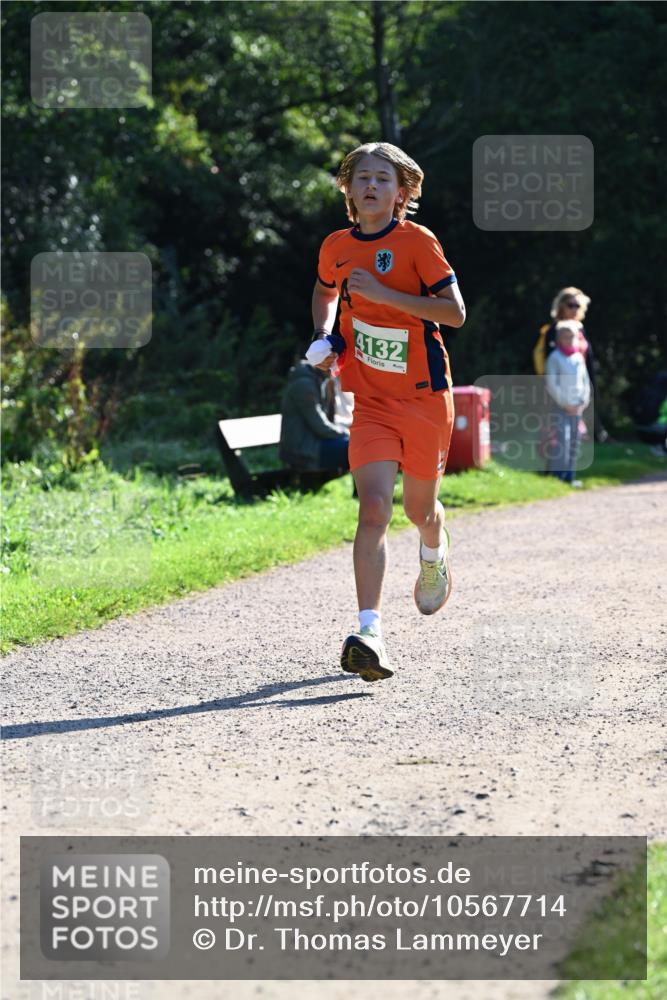 27.09.2026 - 35. Volkslauf durch das schöne Alstertal Dr. Thomas Lammeyer http://msf.ph/oto/10567714 27.09.2026 10:47:45 Laufen 4132 meine-sportfotos.de
