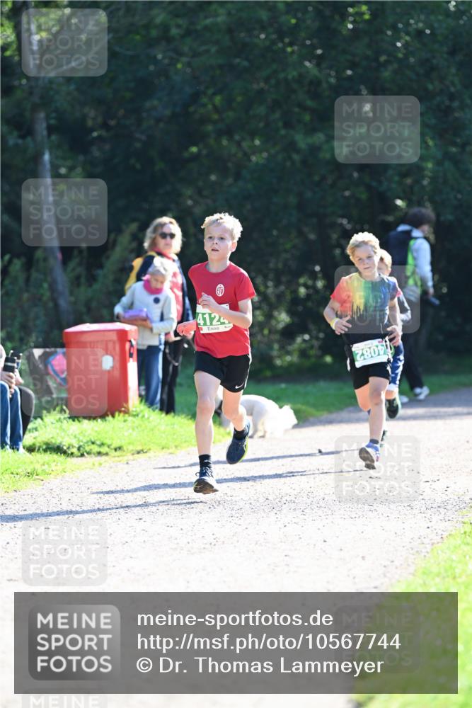 27.09.2026 - 35. Volkslauf durch das schöne Alstertal Dr. Thomas Lammeyer http://msf.ph/oto/10567744 27.09.2026 10:48:20 Laufen 4124, 2800 meine-sportfotos.de